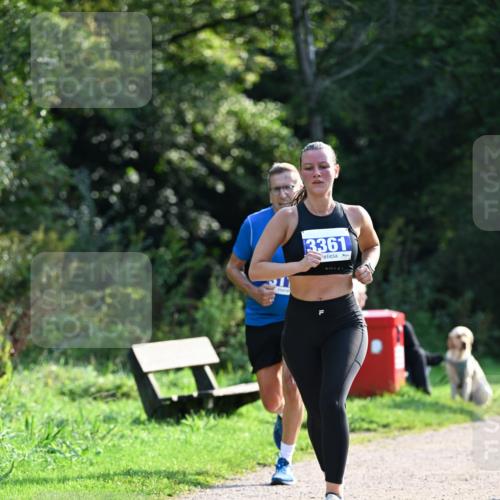 27.09.2026 - 35. Volkslauf durch das schöne Alstertal Dr. Thomas Lammeyer http://msf.ph/oto/10571395 27.09.2026 11:18:47 Laufen 3361 meine-sportfotos.de