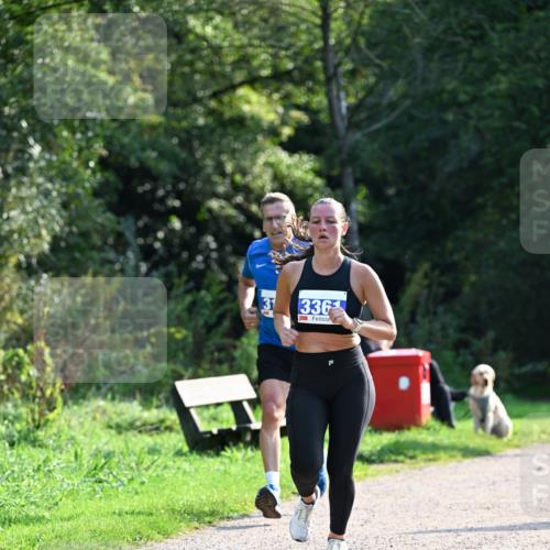 27.09.2026 - 35. Volkslauf durch das schöne Alstertal Dr. Thomas Lammeyer http://msf.ph/oto/10571397 27.09.2026 11:18:48 Laufen 31, 336 meine-sportfotos.de