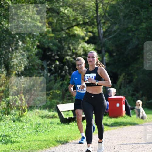 27.09.2026 - 35. Volkslauf durch das schöne Alstertal Dr. Thomas Lammeyer http://msf.ph/oto/10571399 27.09.2026 11:18:48 Laufen 316 meine-sportfotos.de