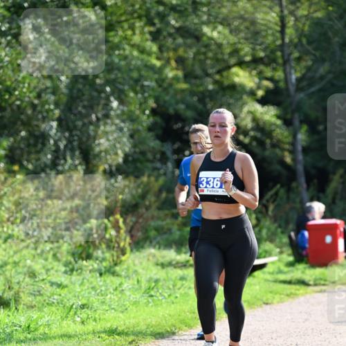 27.09.2026 - 35. Volkslauf durch das schöne Alstertal Dr. Thomas Lammeyer http://msf.ph/oto/10571406 27.09.2026 11:18:48 Laufen 336 meine-sportfotos.de