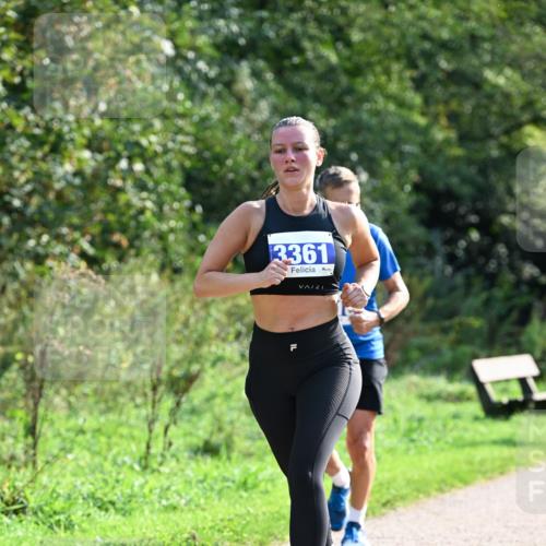 27.09.2026 - 35. Volkslauf durch das schöne Alstertal Dr. Thomas Lammeyer http://msf.ph/oto/10571417 27.09.2026 11:18:50 Laufen 3361 meine-sportfotos.de
