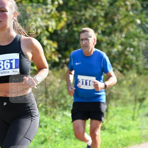 27.09.2026 - 35. Volkslauf durch das schöne Alstertal Dr. Thomas Lammeyer http://msf.ph/oto/10571422 27.09.2026 11:18:51 Laufen 361, 3116 meine-sportfotos.de