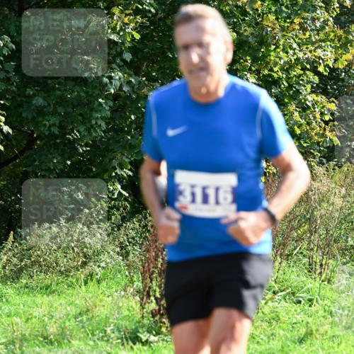 27.09.2026 - 35. Volkslauf durch das schöne Alstertal Dr. Thomas Lammeyer http://msf.ph/oto/10571427 27.09.2026 11:18:52 Laufen 3116 meine-sportfotos.de