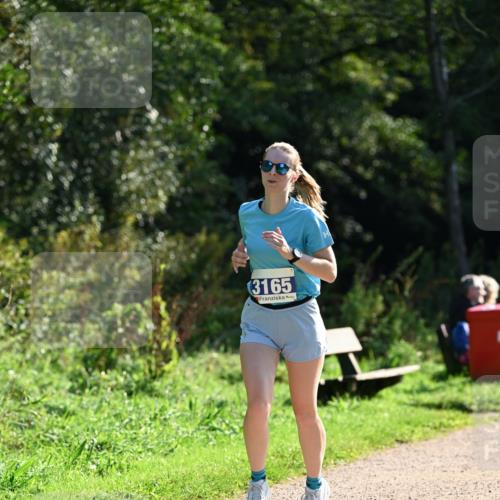 27.09.2026 - 35. Volkslauf durch das schöne Alstertal Dr. Thomas Lammeyer http://msf.ph/oto/10571445 27.09.2026 11:19:03 Laufen 3165 meine-sportfotos.de