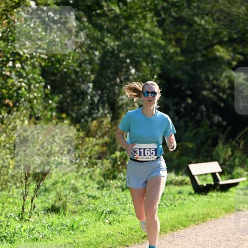 27.09.2026 - 35. Volkslauf durch das schöne Alstertal Dr. Thomas Lammeyer http://msf.ph/oto/10571450 27.09.2026 11:19:03 Laufen 3165 meine-sportfotos.de
