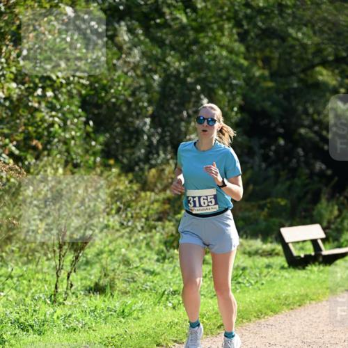 27.09.2026 - 35. Volkslauf durch das schöne Alstertal Dr. Thomas Lammeyer http://msf.ph/oto/10571451 27.09.2026 11:19:04 Laufen 3165 meine-sportfotos.de