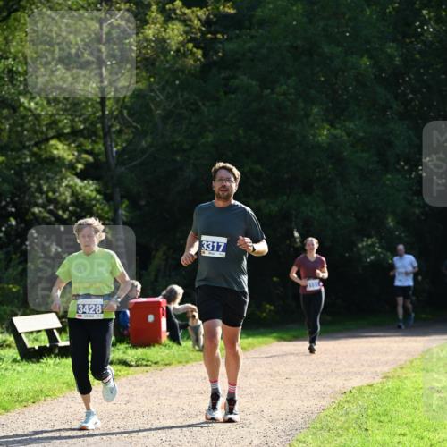27.09.2026 - 35. Volkslauf durch das schöne Alstertal Dr. Thomas Lammeyer http://msf.ph/oto/10571465 27.09.2026 11:19:08 Laufen 15, 2013, 3428, 3317 meine-sportfotos.de