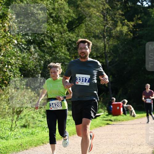 27.09.2026 - 35. Volkslauf durch das schöne Alstertal Dr. Thomas Lammeyer http://msf.ph/oto/10571475 27.09.2026 11:19:10 Laufen 15, 2013, 3428, 3317 meine-sportfotos.de