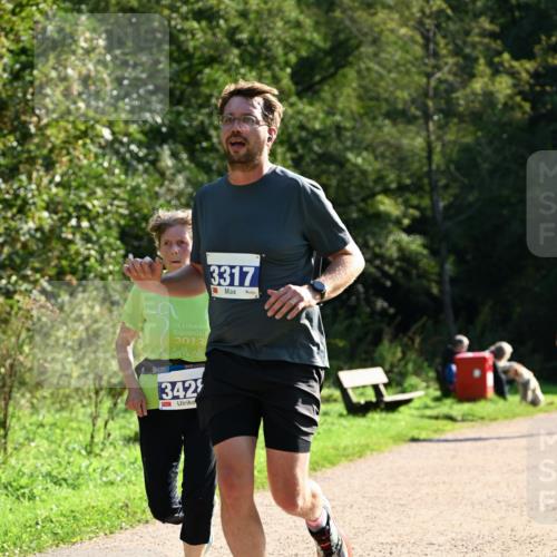 27.09.2026 - 35. Volkslauf durch das schöne Alstertal Dr. Thomas Lammeyer http://msf.ph/oto/10571479 27.09.2026 11:19:10 Laufen 15, 2013, 342, 3317 meine-sportfotos.de