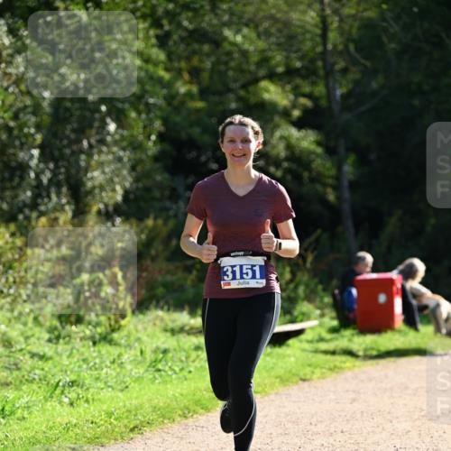 27.09.2026 - 35. Volkslauf durch das schöne Alstertal Dr. Thomas Lammeyer http://msf.ph/oto/10571481 27.09.2026 11:19:14 Laufen 3151 meine-sportfotos.de