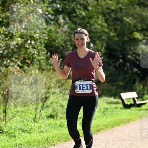 27.09.2026 - 35. Volkslauf durch das schöne Alstertal Dr. Thomas Lammeyer http://msf.ph/oto/10571489 27.09.2026 11:19:14 Laufen 3151 meine-sportfotos.de