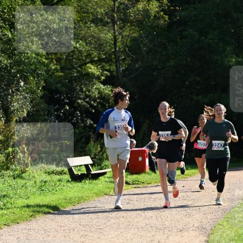27.09.2026 - 35. Volkslauf durch das schöne Alstertal Dr. Thomas Lammeyer http://msf.ph/oto/10571502 27.09.2026 11:19:20 Laufen 18090, 3355, 3354, 3251, 3247 meine-sportfotos.de