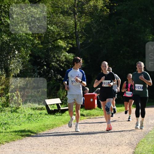 27.09.2026 - 35. Volkslauf durch das schöne Alstertal Dr. Thomas Lammeyer http://msf.ph/oto/10571504 27.09.2026 11:19:20 Laufen 33, 5, 3354, 3251, 3247 meine-sportfotos.de