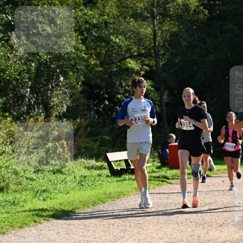 27.09.2026 - 35. Volkslauf durch das schöne Alstertal Dr. Thomas Lammeyer http://msf.ph/oto/10571507 27.09.2026 11:19:20 Laufen 335, 3354, 3251 meine-sportfotos.de