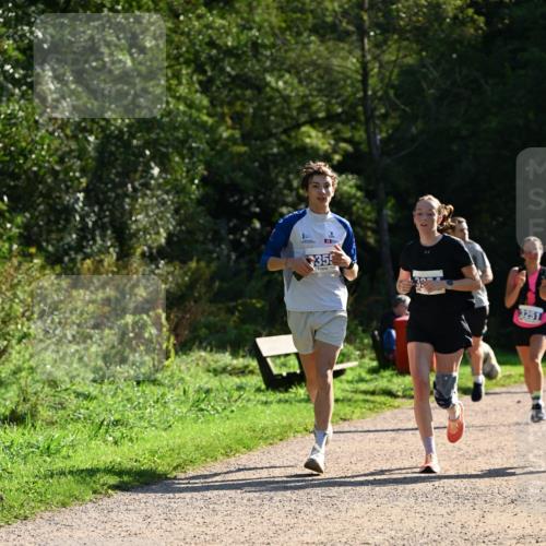 27.09.2026 - 35. Volkslauf durch das schöne Alstertal Dr. Thomas Lammeyer http://msf.ph/oto/10571509 27.09.2026 11:19:21 Laufen 355, 3251 meine-sportfotos.de