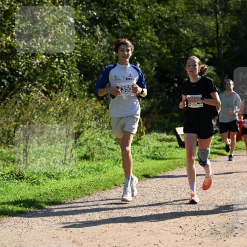 27.09.2026 - 35. Volkslauf durch das schöne Alstertal Dr. Thomas Lammeyer http://msf.ph/oto/10571521 27.09.2026 11:19:22 Laufen 355 meine-sportfotos.de