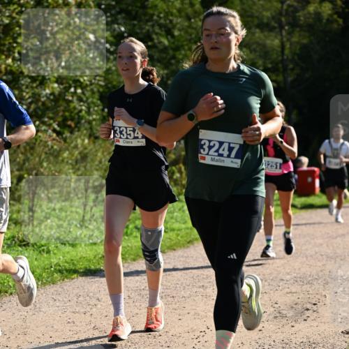 27.09.2026 - 35. Volkslauf durch das schöne Alstertal Dr. Thomas Lammeyer http://msf.ph/oto/10571528 27.09.2026 11:19:23 Laufen 3, 3354, 3247, 3251 meine-sportfotos.de
