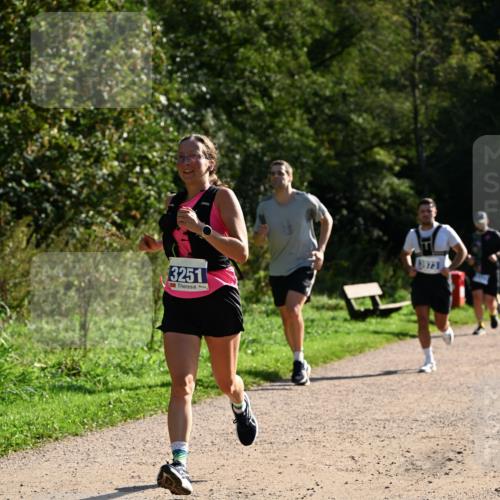 27.09.2026 - 35. Volkslauf durch das schöne Alstertal Dr. Thomas Lammeyer http://msf.ph/oto/10571533 27.09.2026 11:19:25 Laufen 3251 meine-sportfotos.de