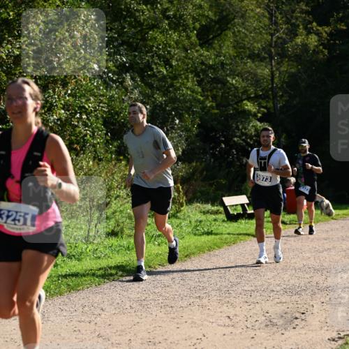 27.09.2026 - 35. Volkslauf durch das schöne Alstertal Dr. Thomas Lammeyer http://msf.ph/oto/10571534 27.09.2026 11:19:25 Laufen 3251, 3973 meine-sportfotos.de