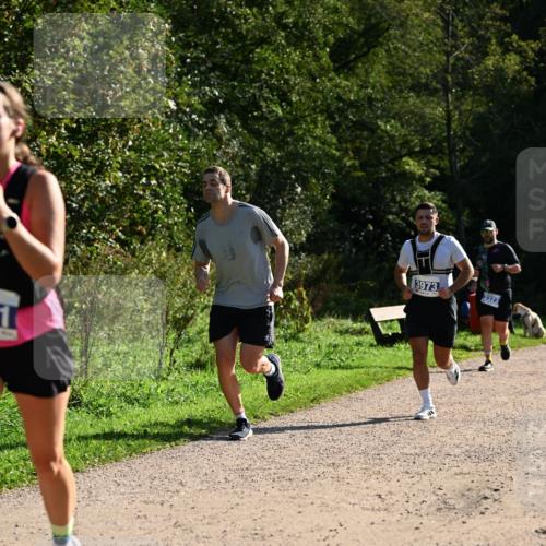 27.09.2026 - 35. Volkslauf durch das schöne Alstertal Dr. Thomas Lammeyer http://msf.ph/oto/10571535 27.09.2026 11:19:25 Laufen 3973, 3323 meine-sportfotos.de