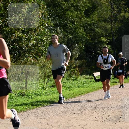 27.09.2026 - 35. Volkslauf durch das schöne Alstertal Dr. Thomas Lammeyer http://msf.ph/oto/10571537 27.09.2026 11:19:25 Laufen 3973, 3323 meine-sportfotos.de