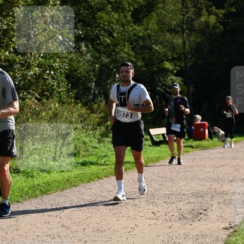 27.09.2026 - 35. Volkslauf durch das schöne Alstertal Dr. Thomas Lammeyer http://msf.ph/oto/10571543 27.09.2026 11:19:27 Laufen 3973, 3323 meine-sportfotos.de