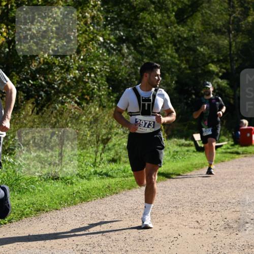 27.09.2026 - 35. Volkslauf durch das schöne Alstertal Dr. Thomas Lammeyer http://msf.ph/oto/10571547 27.09.2026 11:19:27 Laufen 3973 meine-sportfotos.de