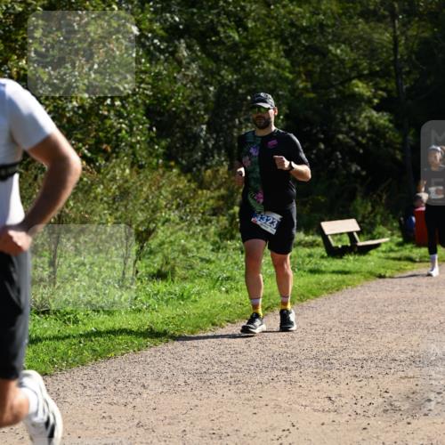 27.09.2026 - 35. Volkslauf durch das schöne Alstertal Dr. Thomas Lammeyer http://msf.ph/oto/10571551 27.09.2026 11:19:28 Laufen 3323 meine-sportfotos.de