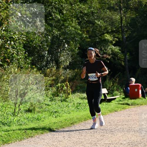 27.09.2026 - 35. Volkslauf durch das schöne Alstertal Dr. Thomas Lammeyer http://msf.ph/oto/10571565 27.09.2026 11:19:31 Laufen 3221 meine-sportfotos.de