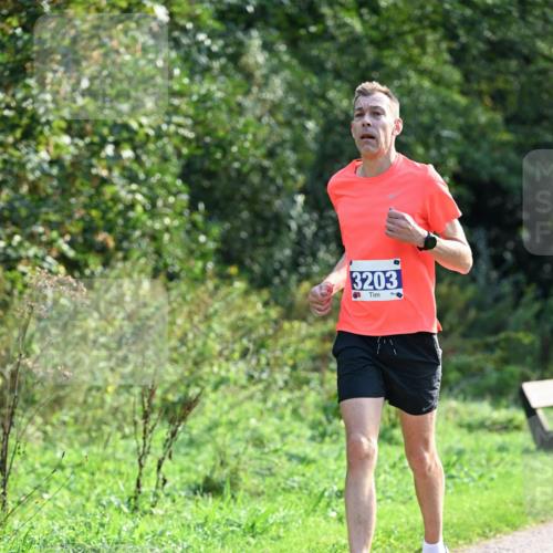 27.09.2026 - 35. Volkslauf durch das schöne Alstertal Dr. Thomas Lammeyer http://msf.ph/oto/10571628 27.09.2026 11:19:49 Laufen 3203 meine-sportfotos.de