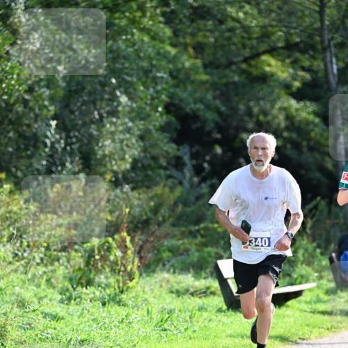 27.09.2026 - 35. Volkslauf durch das schöne Alstertal Dr. Thomas Lammeyer http://msf.ph/oto/10571632 27.09.2026 11:19:53 Laufen 340 meine-sportfotos.de