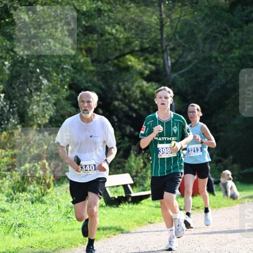 27.09.2026 - 35. Volkslauf durch das schöne Alstertal Dr. Thomas Lammeyer http://msf.ph/oto/10571633 27.09.2026 11:19:53 Laufen 3340, 398, 3213 meine-sportfotos.de