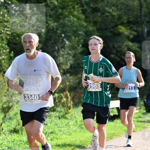 27.09.2026 - 35. Volkslauf durch das schöne Alstertal Dr. Thomas Lammeyer http://msf.ph/oto/10571642 27.09.2026 11:19:54 Laufen 3340, 3988, 3213 meine-sportfotos.de
