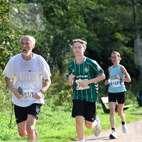 27.09.2026 - 35. Volkslauf durch das schöne Alstertal Dr. Thomas Lammeyer http://msf.ph/oto/10571645 27.09.2026 11:19:55 Laufen 340, 3213 meine-sportfotos.de