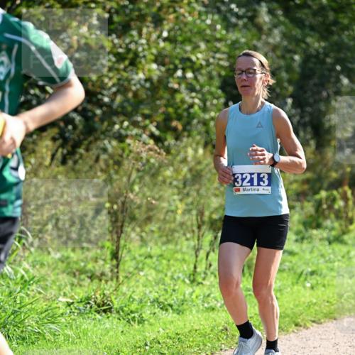27.09.2026 - 35. Volkslauf durch das schöne Alstertal Dr. Thomas Lammeyer http://msf.ph/oto/10571658 27.09.2026 11:19:56 Laufen 3213 meine-sportfotos.de