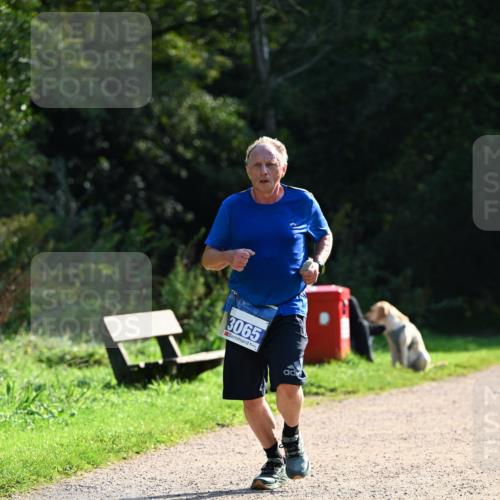 27.09.2026 - 35. Volkslauf durch das schöne Alstertal Dr. Thomas Lammeyer http://msf.ph/oto/10571663 27.09.2026 11:19:59 Laufen 3065 meine-sportfotos.de