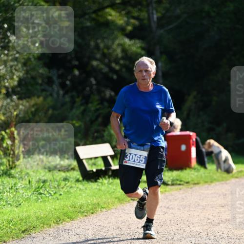 27.09.2026 - 35. Volkslauf durch das schöne Alstertal Dr. Thomas Lammeyer http://msf.ph/oto/10571666 27.09.2026 11:19:59 Laufen 3065 meine-sportfotos.de