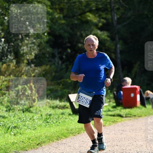 27.09.2026 - 35. Volkslauf durch das schöne Alstertal Dr. Thomas Lammeyer http://msf.ph/oto/10571670 27.09.2026 11:19:59 Laufen 3065 meine-sportfotos.de