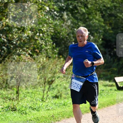 27.09.2026 - 35. Volkslauf durch das schöne Alstertal Dr. Thomas Lammeyer http://msf.ph/oto/10571682 27.09.2026 11:20:01 Laufen 3065 meine-sportfotos.de