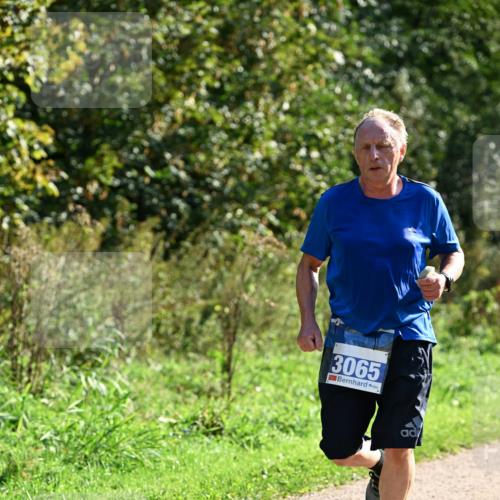 27.09.2026 - 35. Volkslauf durch das schöne Alstertal Dr. Thomas Lammeyer http://msf.ph/oto/10571686 27.09.2026 11:20:01 Laufen 3065 meine-sportfotos.de