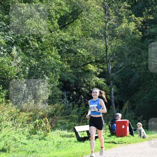 27.09.2026 - 35. Volkslauf durch das schöne Alstertal Dr. Thomas Lammeyer http://msf.ph/oto/10571751 27.09.2026 11:20:23 Laufen 332 meine-sportfotos.de