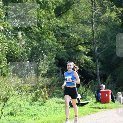 27.09.2026 - 35. Volkslauf durch das schöne Alstertal Dr. Thomas Lammeyer http://msf.ph/oto/10571757 27.09.2026 11:20:24 Laufen 332 meine-sportfotos.de