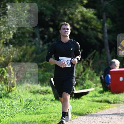 27.09.2026 - 35. Volkslauf durch das schöne Alstertal Dr. Thomas Lammeyer http://msf.ph/oto/10571846 27.09.2026 11:21:02 Laufen 2892 meine-sportfotos.de