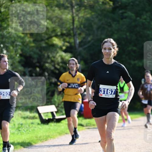 27.09.2026 - 35. Volkslauf durch das schöne Alstertal Dr. Thomas Lammeyer http://msf.ph/oto/10571857 27.09.2026 11:21:03 Laufen 292, 3167 meine-sportfotos.de