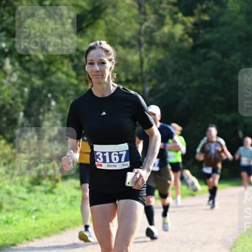 27.09.2026 - 35. Volkslauf durch das schöne Alstertal Dr. Thomas Lammeyer http://msf.ph/oto/10571870 27.09.2026 11:21:04 Laufen 3167 meine-sportfotos.de