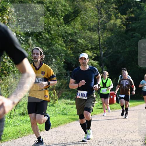 27.09.2026 - 35. Volkslauf durch das schöne Alstertal Dr. Thomas Lammeyer http://msf.ph/oto/10571875 27.09.2026 11:21:05 Laufen 3117 meine-sportfotos.de