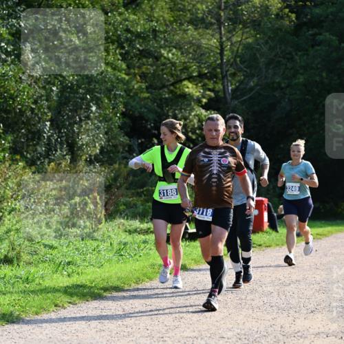 27.09.2026 - 35. Volkslauf durch das schöne Alstertal Dr. Thomas Lammeyer http://msf.ph/oto/10571887 27.09.2026 11:21:07 Laufen 3188, 3118, 3249 meine-sportfotos.de