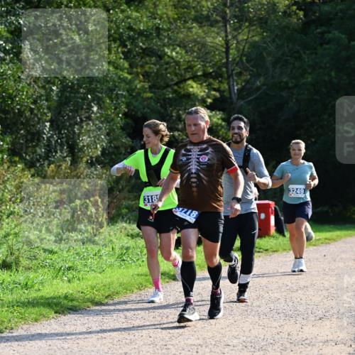 27.09.2026 - 35. Volkslauf durch das schöne Alstertal Dr. Thomas Lammeyer http://msf.ph/oto/10571890 27.09.2026 11:21:07 Laufen 318, 718, 3249 meine-sportfotos.de