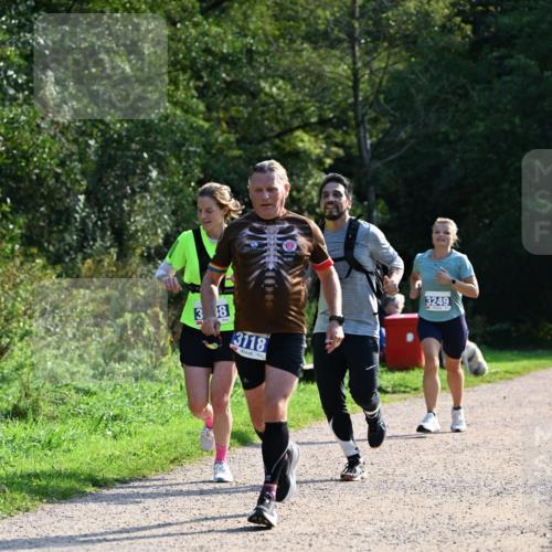 27.09.2026 - 35. Volkslauf durch das schöne Alstertal Dr. Thomas Lammeyer http://msf.ph/oto/10571892 27.09.2026 11:21:08 Laufen 3, 8, 3118, 3249 meine-sportfotos.de
