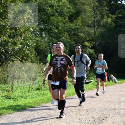 27.09.2026 - 35. Volkslauf durch das schöne Alstertal Dr. Thomas Lammeyer http://msf.ph/oto/10571896 27.09.2026 11:21:09 Laufen 3249 meine-sportfotos.de